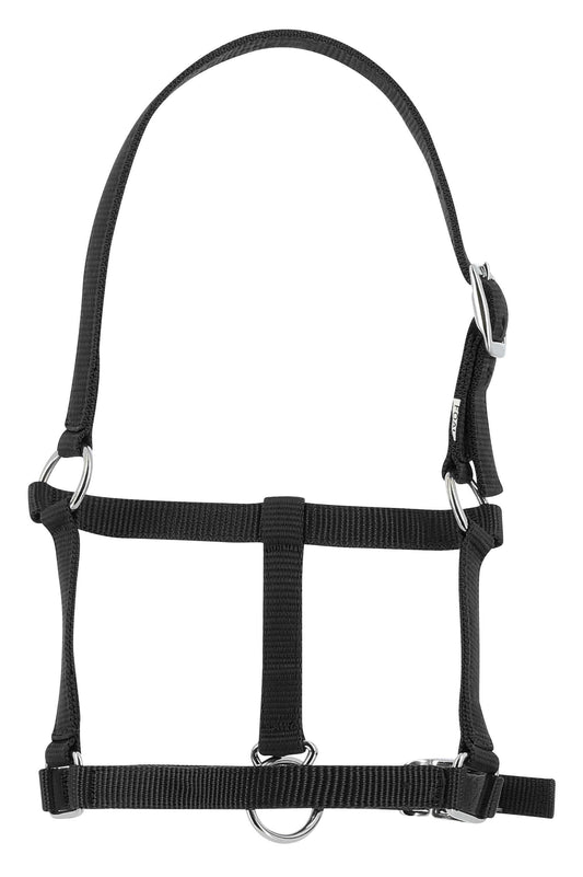 Cabezada para potro - Riding World