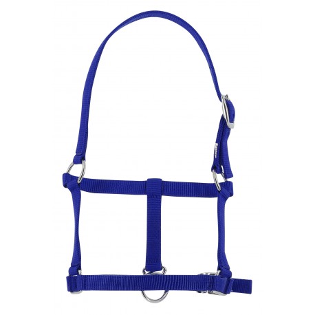 Cabezada para potro - Riding World para equitación - vista 4