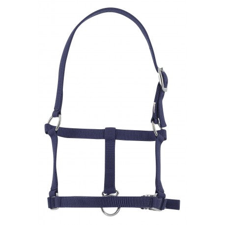 Cabezada para potro - Riding World para equitación - vista 5