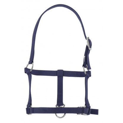 Cabezada para potro - Riding World para equitación - vista 5