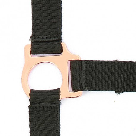Cabezada + ramal - Rose gold - Norton - Oro