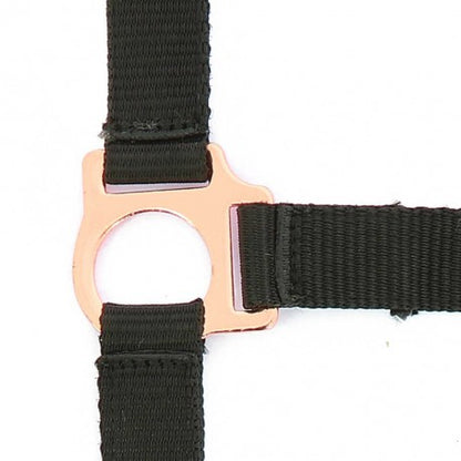 Cabezada + ramal - Rose gold - Norton - Oro
