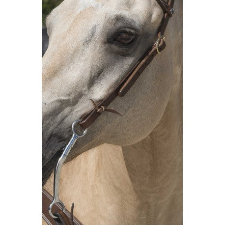 Cabezada WESTRIDE de - 1 oreja - Franck Perret para equitación - vista 5
