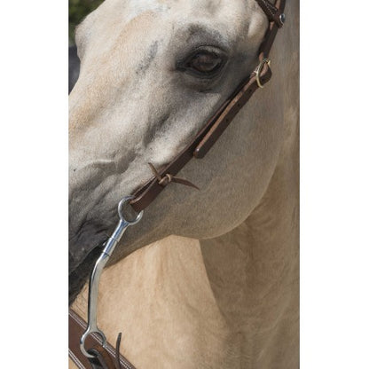 Cabezada WESTRIDE de - 1 oreja - Franck Perret para equitación - vista 5
