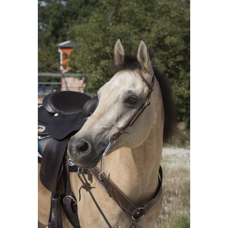 Cabezada WESTRIDE de - 1 oreja - Franck Perret para equitación - vista 3