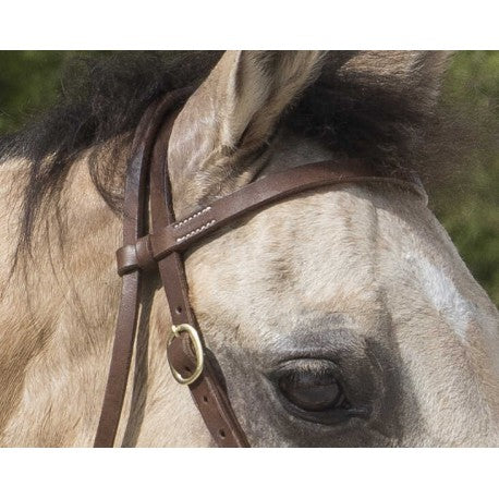 Cabezada WESTRIDE de - Colorado - Franck Perret