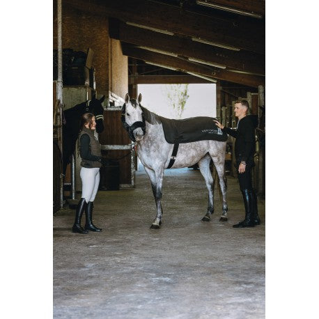 Accesorio ecuestre Calienta-espalda Heated - Equithème para equitación - vista 3