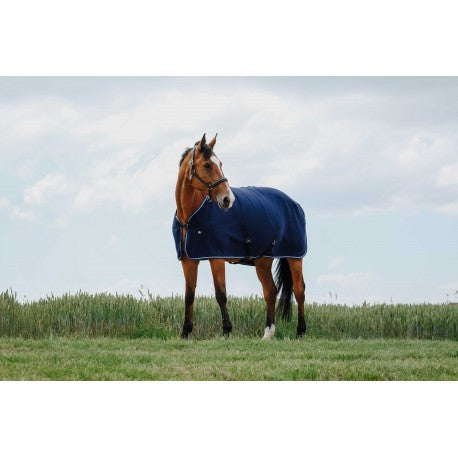 Camisa de secado - Riding World para equitación - vista 3