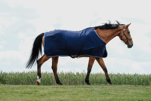 Camisa de secado - Riding World