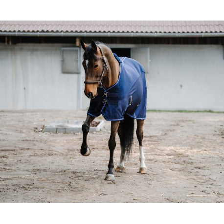 Camisa - Classic - Mesh 3D - Equithème para equitación - vista 3