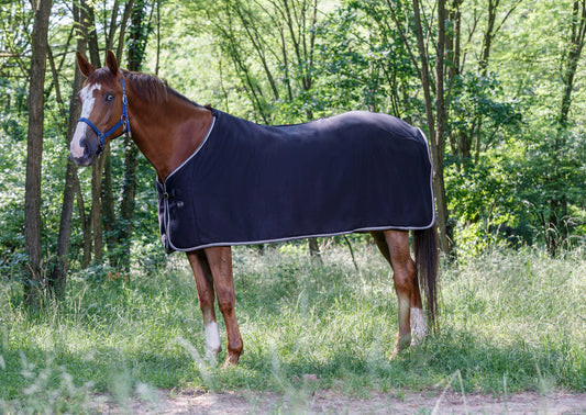 Camisa polar - Básica - Riding World