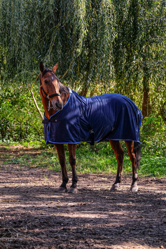 Camisa - Punto fino - Riding World