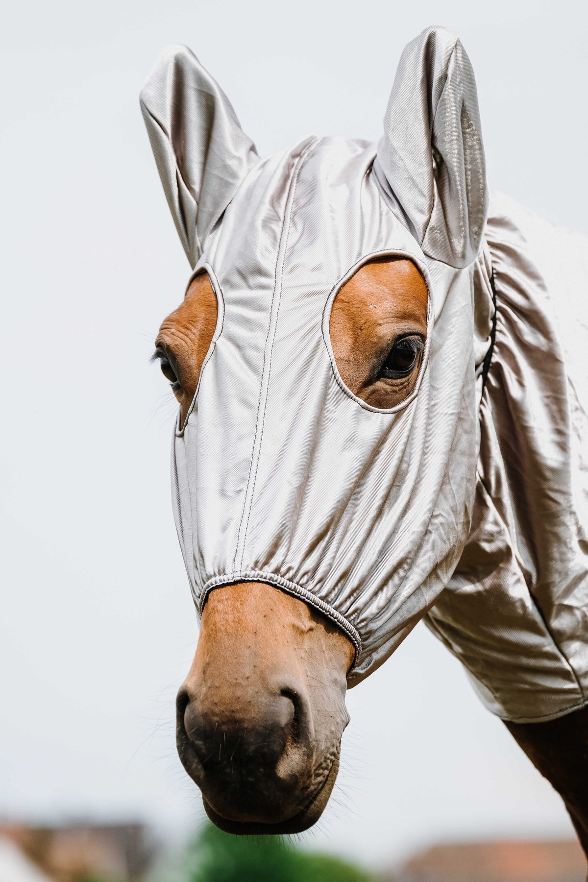 Capucha antieczema - Riding World