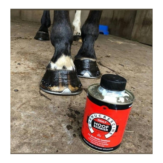 Accesorio ecuestre Hoof Oil Carr & Day & Martin Daily Hoof Barrier Cornucrescinde Hoof Oil para equitación - vista 2