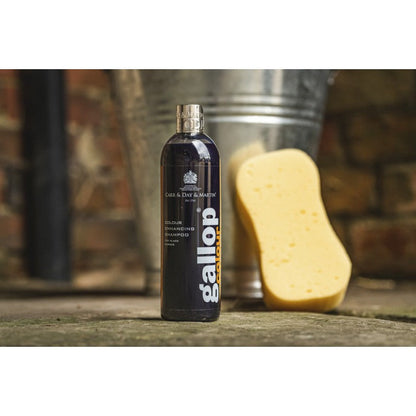 Shampoo Carr & Day & Martin Shampoo Gallop Black detalle 2