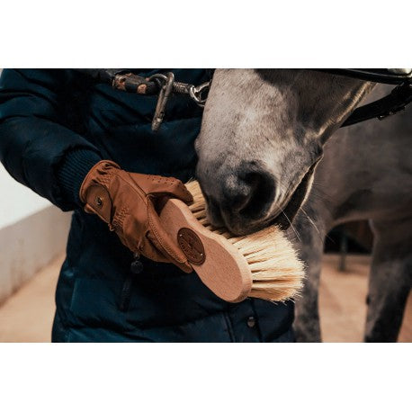 Cepillo Infini - Cactus/crin de caballo - Borstiq para equitación - vista 3