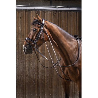 Accesorio ecuestre Chambon PRO - Eric Thomas para equitación - vista 5