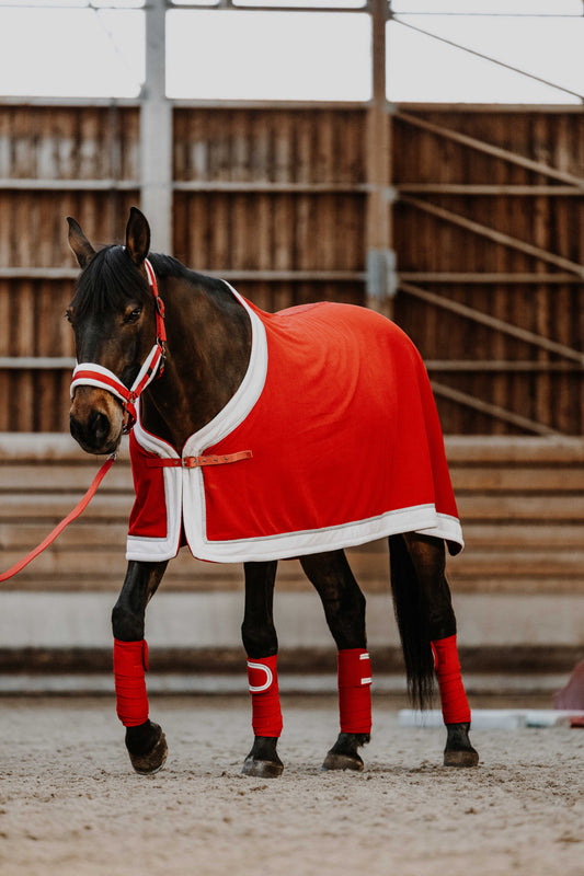 Chemise - Xmas - Equithème