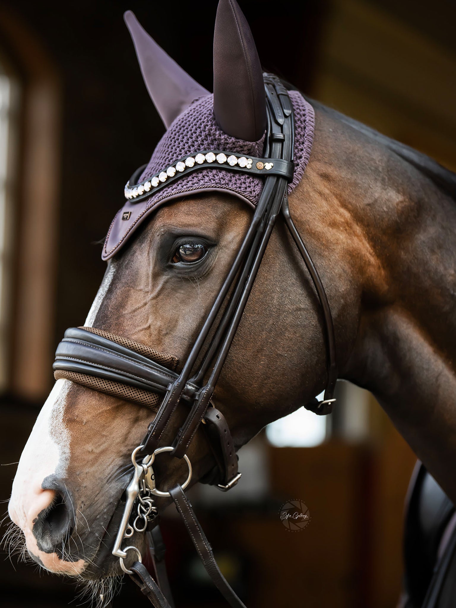 Protector ecuestre Equestrian Stockholm Chin Protector Brown detalle 2