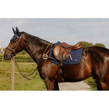 Collar de caza PRO - 5 puntos - Norton - Norton