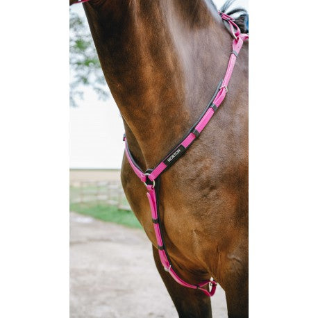 Collar de caza raid - Pop - Norton