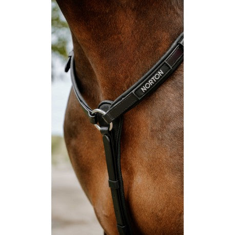 Collar de caza raid - Pop - Norton