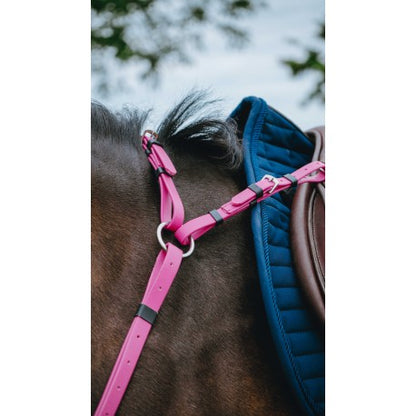 Collar de caza raid - Pop - Norton