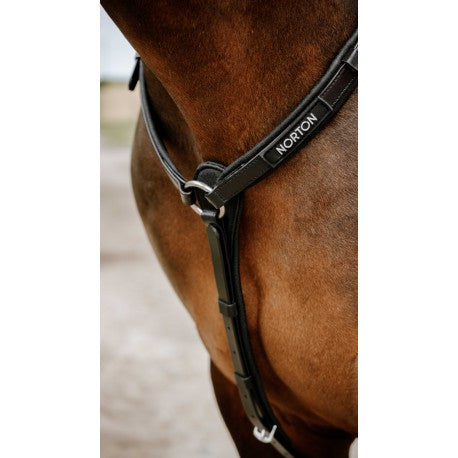 Collar de caza raid - Pop - Norton