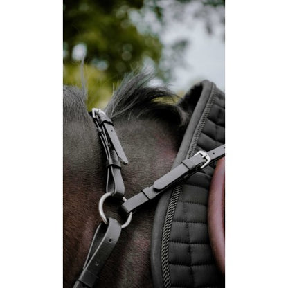 Collar de caza raid - Pop - Norton
