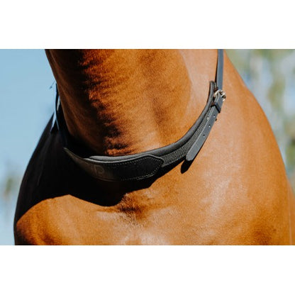 Collar de montar a pelo - Norton