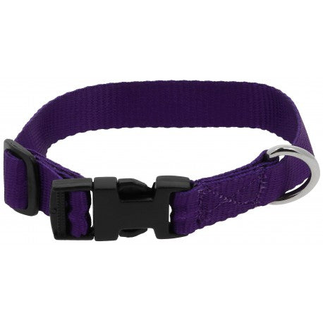Collar para perros - Pat - Riding World