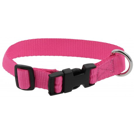 Collar para perros - Pat - Riding World