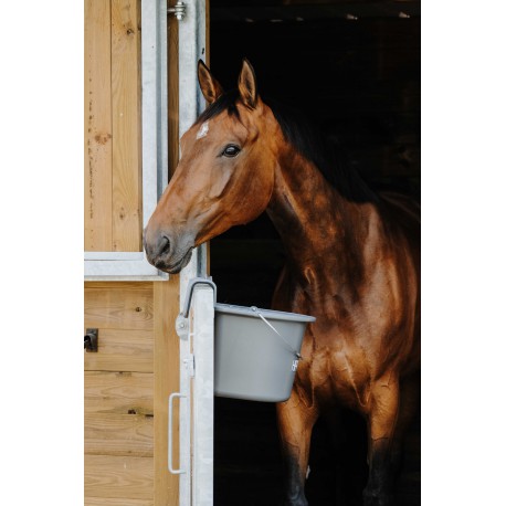Comedero con Ganchos y Asa - Hippotonic
