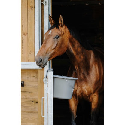 Comedero con Ganchos y Asa - Hippotonic