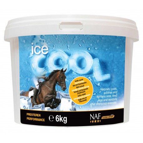 Cooling Clay - Ice Cool - Naf