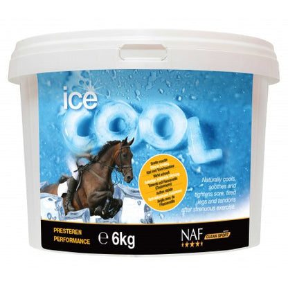 Cooling Clay - Ice Cool - Naf