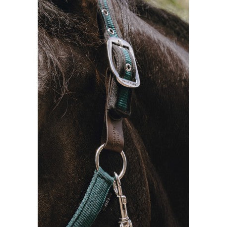 Correa de seguridad – Protector - Equithème - Rojo para equitación - vista 4