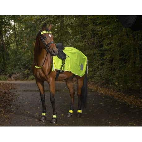 Riendas Couvre-reins - Norton para equitación