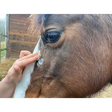 Accesorio ecuestre Crema - DERFEN™ Clear - Animaderm para equitación - vista 4
