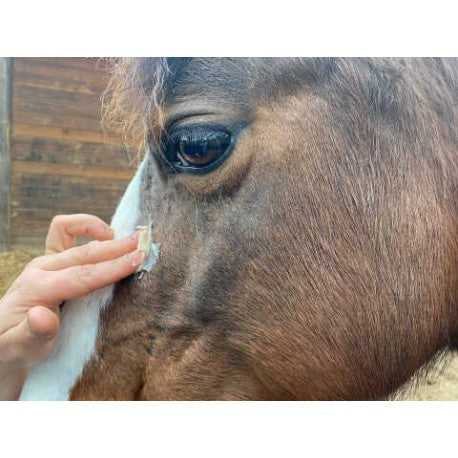 Accesorio ecuestre Crema - DERFEN™ Clear - Animaderm para equitación - vista 5