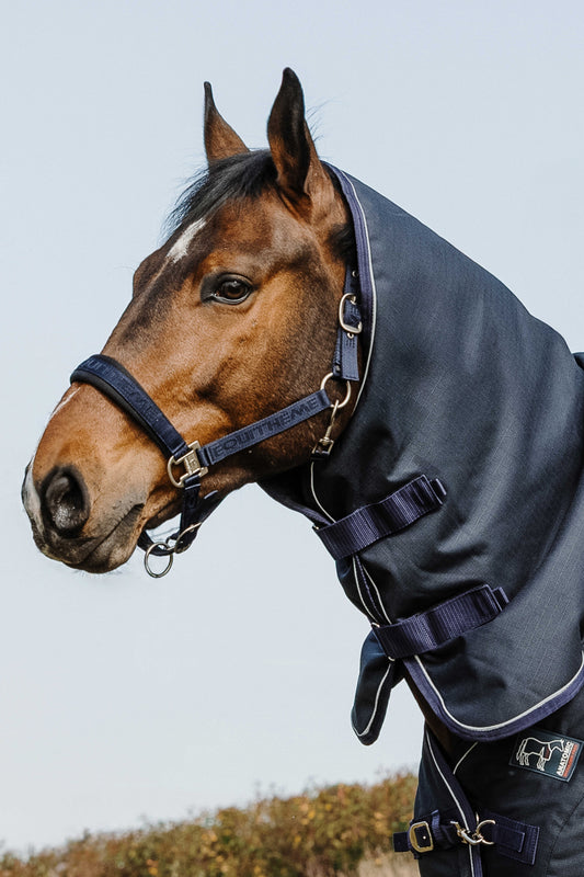 Cuello – Anatomic 1200D - Equithème