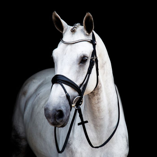 Cabezada Stübben Dressage Bridle 2815 Switch con Magic Tack and Slide&Lock para equitación