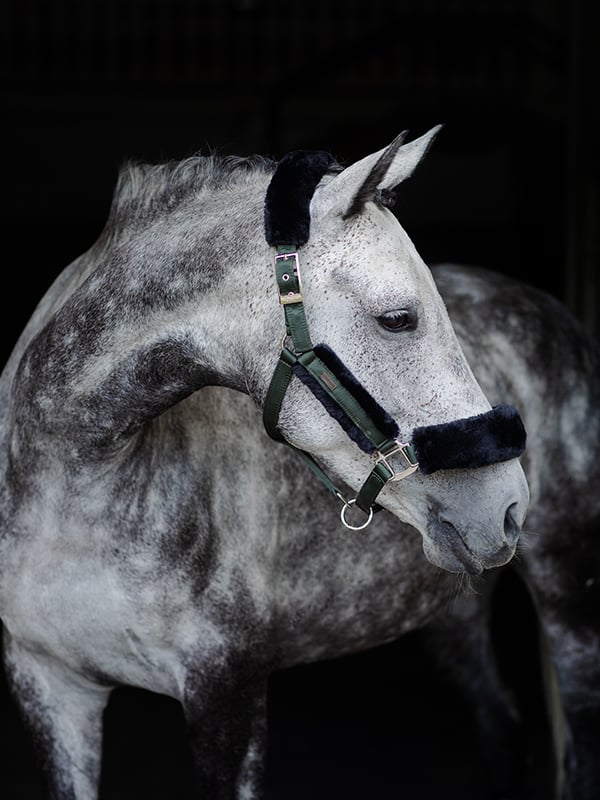 Fur Halter & Lead Rope Equestrian Stockholm Fur Halter & Lead Rope Deep detalle 2