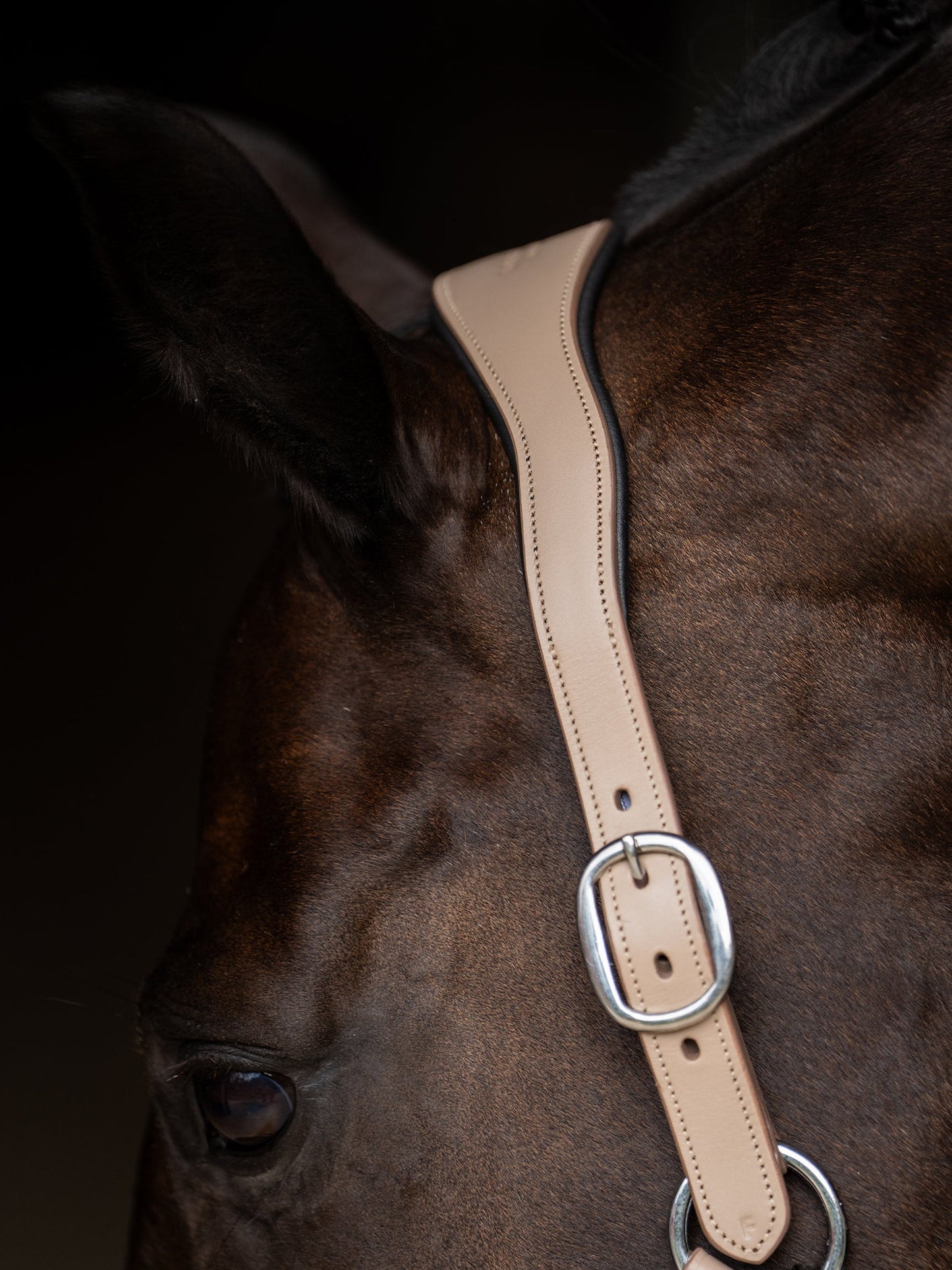 Glimmer Leather Anatomic Halter Equestrian Stockholm Anatomic Glimmer Leather detalle 3