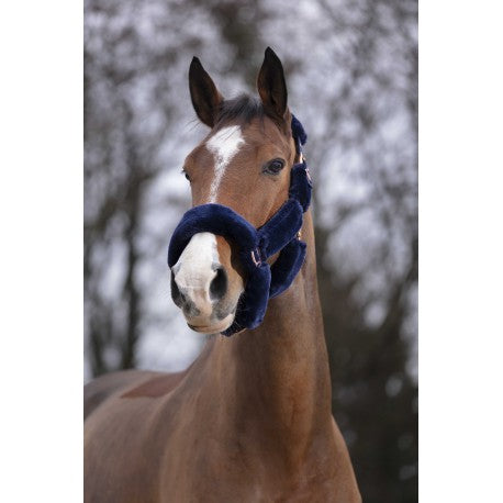 Cabezadas Cabestro - Teddy oro rosa - Equithème para equitación - vista 3