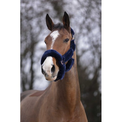 Cabezadas Cabestro - Teddy oro rosa - Equithème para equitación - vista 3