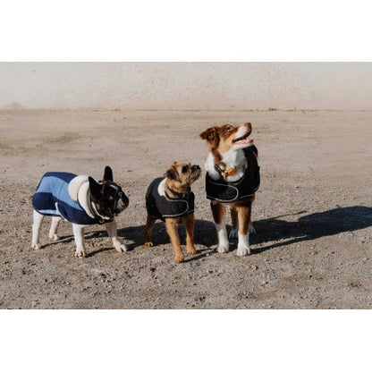 Confortec - Manta para perro - Equithème