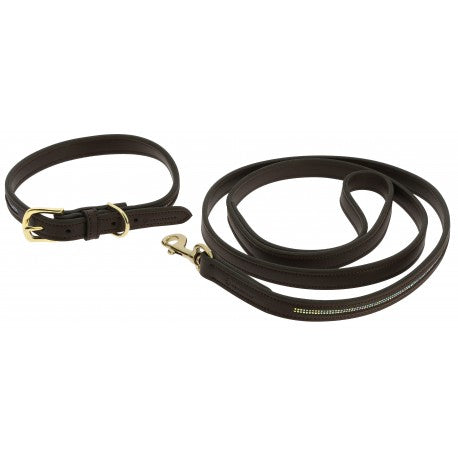 Max - Collar y correa para perros - Equithème para equitación