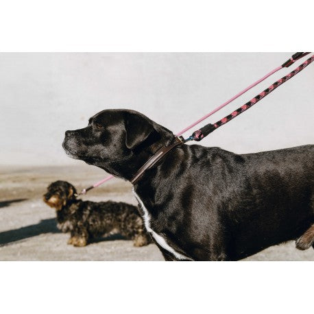 Max - Collar y correa para perros - Equithème para equitación - vista 4