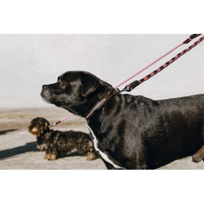 Max - Collar y correa para perros - Equithème para equitación - vista 4